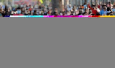 कांकेर मुठभेड़ : मारे गए नक्सलियों में 15 पुरुष और 14 महिला शामिल