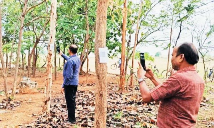 क्यूआर कोड स्कैन करते ही पेड़ खुद ही बताएंगे