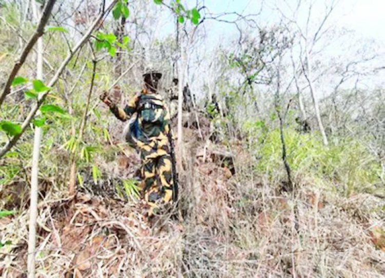 कांकेर मुठभेड़ : मारे गए नक्सलियों में 15 पुरुष और 14 महिला शामिल