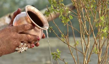 तुलसी को जल अर्पित करते समय बस 1 चीज मिला लें, बरसेगा धन