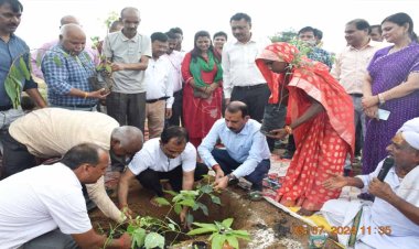 कंचन नदी तट पर त्रिवेणी उत्सव के साथ हरियाली महोत्सव का हुआ शुभारंभ