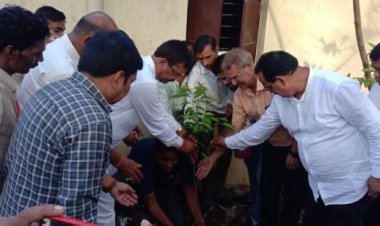 विधायक मोतीलाल ने अमलीडीह  विद्यालय में किया पौधारोपण