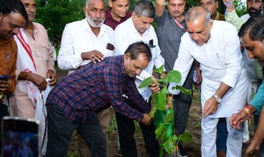 रक्षाबंधन एक प्राचीन परम्परा है, जो हमारी संस्कृति का एक हिस्सा है : वन मंत्री रावत