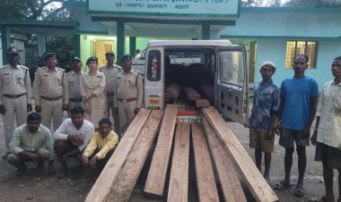 सागौन का अवैध परिवहन करते वाहन हुआ जप्त