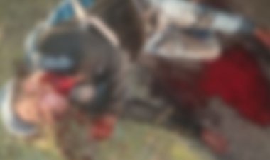 गैरतगंज में एक व्यक्ति की गला रेत कर निर्मम हत्या:पुलिस और डॉग स्क्वायड टीम मौके पर पहुंची