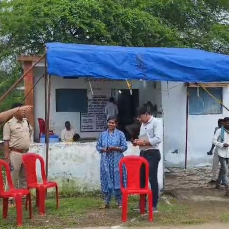 उपचुनाव के लिए मतदान:नेपानगर पालिका के वार्ड 23 और शाहपुर नगर परिषद के वार्ड 2 में पार्षद चुनाव के लिए वोटिंग