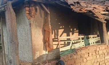 डिंडौरी में छत्तीसगढ़ से आए हाथियों का आतंक:एक ग्रामीण के घर को किया क्षतिग्रस्त, अलर्ट पर वन-विभाग की टीम