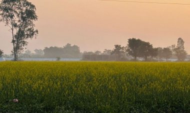 मंदसौर में सुबह छाई रही हल्की धुंध:ठंडी हवाएं बढ़ा रही सर्दी; 3-4 दिन ऐसा ही मौसम रहेगा