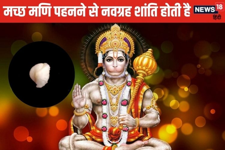 जादुई रत्न है मच्छ मणि, कुंडली के दोषों से करेगा रक्षा, जानें पहनने की विधि