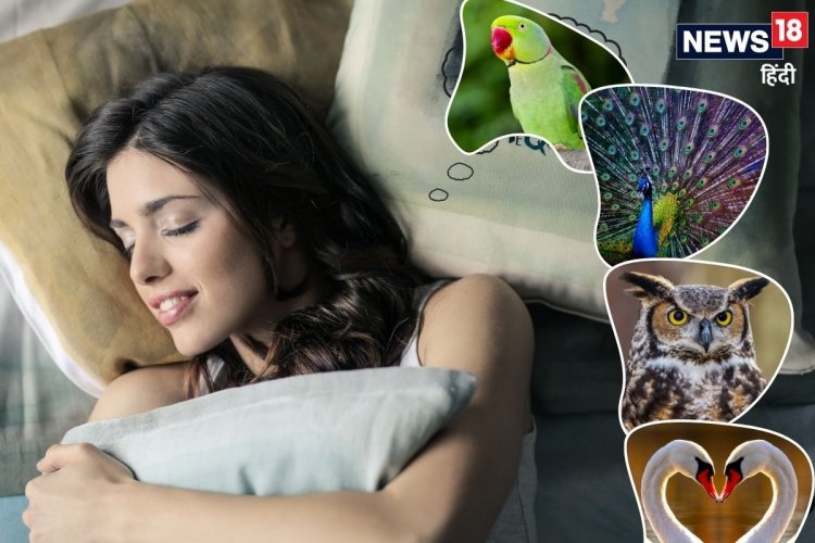 सपने में इन 5 पक्षियों का दिखना बेहद शुभ, अच्छे दिनों की ओर करते हैं इशारा!