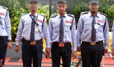 सरकारी नौकरी:राजस्‍थान में निकलीं ग्रुप D की 52,452 भर्तियां, 10वीं पास के लिए मौका, एग्‍जाम से सिलेक्‍शन