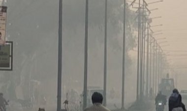 रायसेन में शीत लहर चलने से बढ़ी ठिठुरन:सीजन में दूसरी बार रात का न्यूनतम तापमान 3.8 डिग्री जर्द, पौधों पर जमी ओस की बूंदें