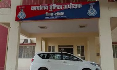 सीहोर में लगातार बढ़ रहे साइबर ठगी के मामले:इस साल 125 लोगों के साथ हो चुकी ठगी, एसपी बोले- कार्रवाई की जा रही