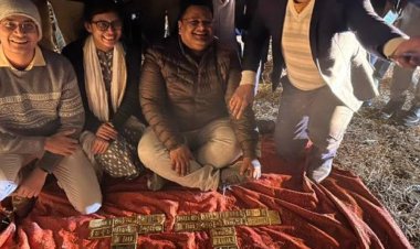 डीआरआई ने शुरू की जब्त 52 किलो सोने की जांच:आयात किए जाने की आशंका; RTO के पूर्व आरक्षक सौरभ शर्मा पर मामला दर्ज