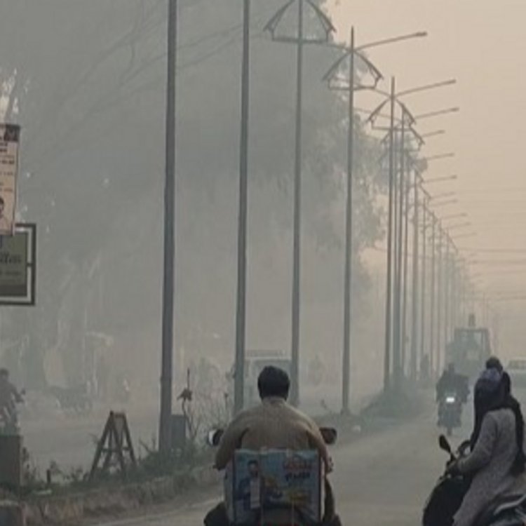 रायसेन में शीत लहर चलने से बढ़ी ठिठुरन:सीजन में दूसरी बार रात का न्यूनतम तापमान 3.8 डिग्री जर्द, पौधों पर जमी ओस की बूंदें
