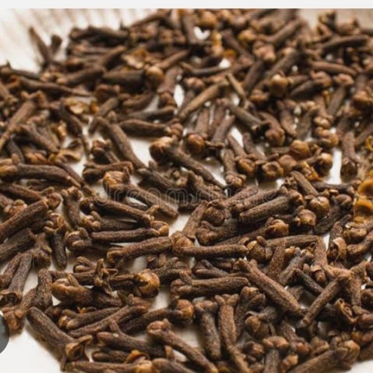 लौंग की आयात लागत घटने से सप्लाई बढ़ी:कीमतों में गिरावट; दालचीनी 10 रुपए घटकर 250-260 रुपए प्रति किलो बिकी