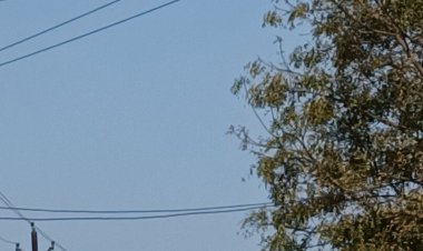 मौसम साफ होते ही 4 डिग्री पर पहुंचा न्यूनतम पारा:दिन में धूप से राहत; अगले कुछ दिन आसा ही रहेगा वेदर