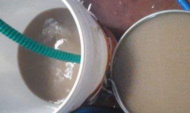 शाजापुर में पीने के पानी का संकट:वार्ड 20 में एक सप्ताह से आ रहा दूषित पानी, नगर पालिका की लापरवाही से लोग परेशान