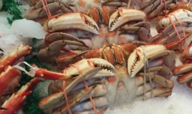 भारत का सीफूड निर्यात वित्त वर्ष 25 में अब तक 60,000 करोड़ रुपये से पार