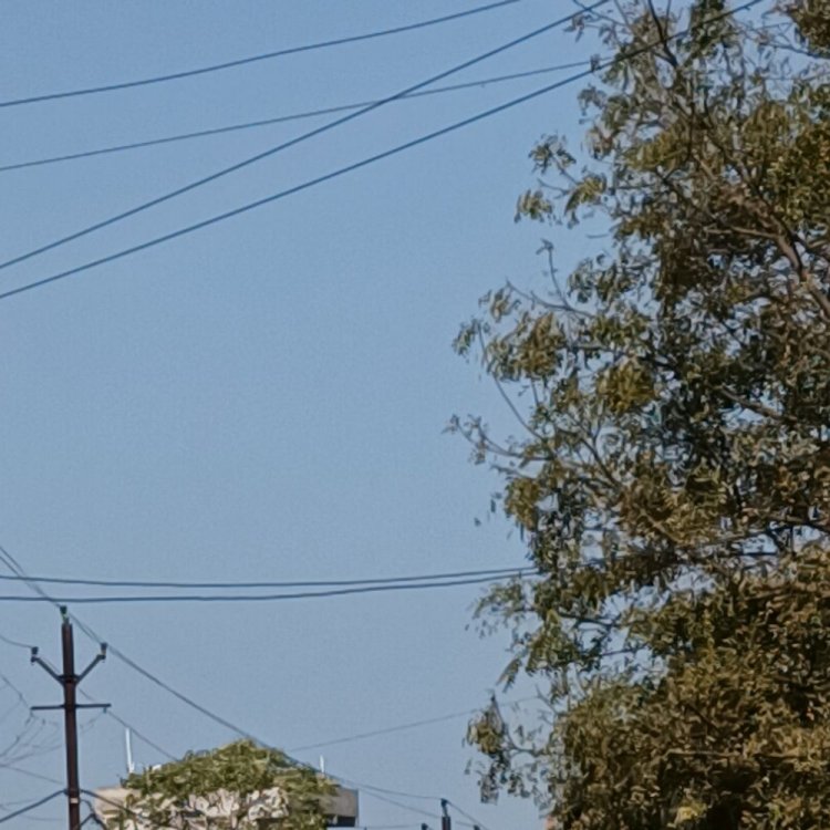 मौसम साफ होते ही 4 डिग्री पर पहुंचा न्यूनतम पारा:दिन में धूप से राहत; अगले कुछ दिन आसा ही रहेगा वेदर