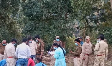 सिंगरौली में बाघिन टी-60 की टीबी से हुई थी मौत:लंबे समय से बीमार चल रही थी; पोस्टमॉर्टम में सामने आया