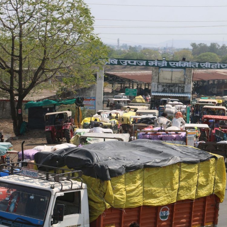 किसानों को 7 दिन में बनवाना होगा ऑनलाइन बिल:गेहूं उपार्जन की नई तिथियां जारी; 15 मार्च से 5 मई तक होगी खरीद