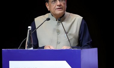 चीनी स्‍टार्टअप माइक्रोचिप बना रहे, भारतीय आइसक्रीम:केंद्रीय मंत्री पीयूष गोयल ने जताई चिंता, कहा- इंडियन आंत्रेपेन्‍योर्स चीप लेबर बना रहे