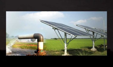 मुख्य सचिव की अध्यक्षता में सोलर पम्प स्थापना की योजना के लिए राज्य स्तरीय समन्वय समिति गठित