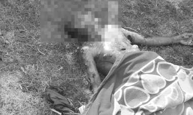 सतना में जंगली सुअर के हमले से एक की मौत:तीन गंभीर घायल, इलाज जारी; नदी किनारे भेड़-बकरियां चराते समय हुई घटना