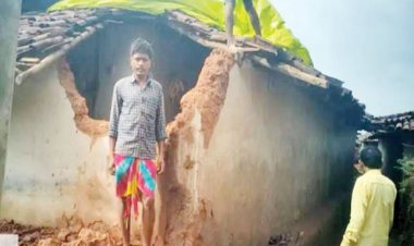 हाथी दल ने 7 मकान तोड़े, जान बचाकर भागे ग्रामीण