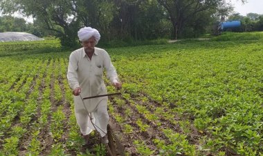 साइकिल के पहिए से बनाया हल, खुद जोत रहे खेत:90 साल के किसान के पास न बैल, न ट्रैक्टर; 10 साल से फसल बीमा भी नहीं मिला