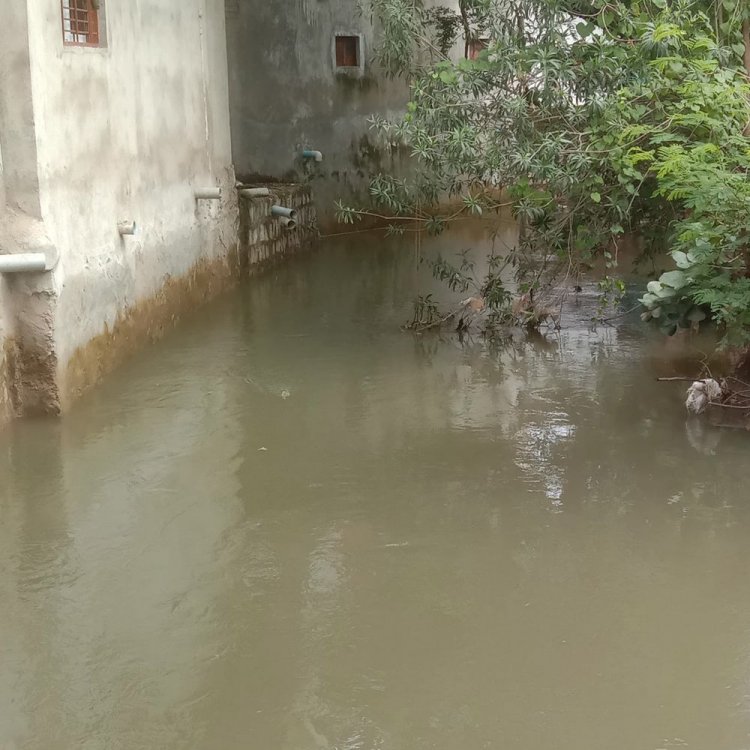 टीकमगढ़ में वृंदावन तालाब का पानी कॉलोनियों में घुसा:नाले पर अवैध कब्जे से जलभराव, 30 फीट चौड़ा नाला 10 फीट का हुआ