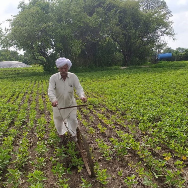 साइकिल के पहिए से बनाया हल, खुद जोत रहे खेत:90 साल के किसान के पास न बैल, न ट्रैक्टर; 10 साल से फसल बीमा भी नहीं मिला