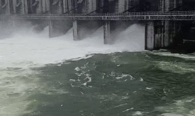 जनजातीय कल्याण की योजनाओं का लाभ, अंतिम व्यक्ति तक पहुंचाए: राज्यपाल  पटेल