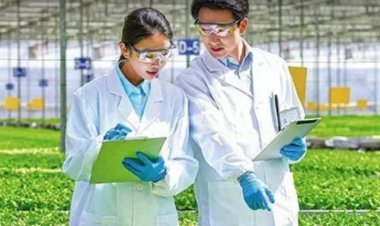 सरकारी नौकरी:स्टेट एग्रीकल्चर यूनिवर्सिटीज में 158 पदों पर भर्ती; सैलरी 80 हजार से ज्यादा, बिना इंटरव्यू के सिलेक्शन