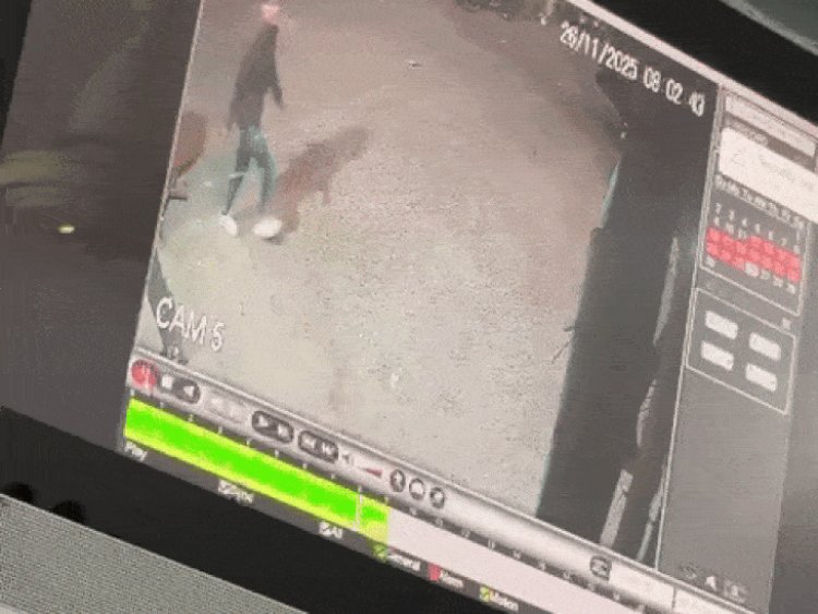 भोपाल में सड़क पर तलवार से ताबड़तोड़ हमला:कार से टक्कर के बाद विरोध करने पर युवक की चार उंगलियां कटीं, CCTV आया सामने