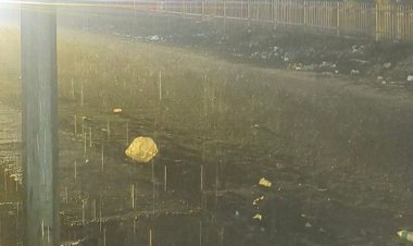 दतिया में 13 मिमी बारिश रिकॉर्ड:कृषि विशेषज्ञ बोले- सब्जी, चना, सरसों की फसल को हो सकता है नुकसान