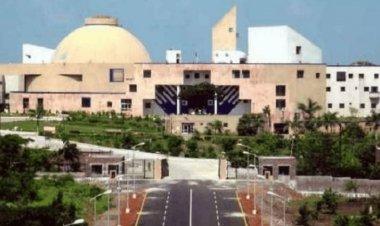 एक साल में तार गिरने से 54 किसानों की मौत:ऊर्जा मंत्री ने कहा- हाईटेंशन लाइन में हर माह होती है पेट्रोलिंग